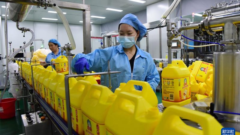 如何精准定位：挑选高分子材料生产厂家的关键要素**